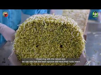 Giới thiệu Nhà máy sản xuất giá đỗ sạch Biên Giang 03 - Hà Đông